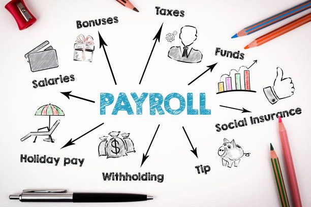 taxes, payroll, stats, services